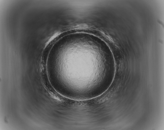 X0000097671400200802291449