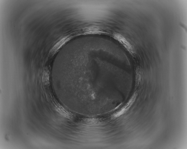 X0000097671401200802291449