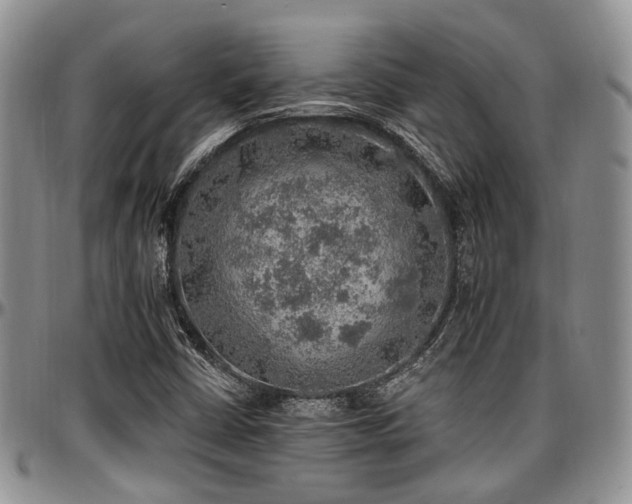 X0000097671402200802291449