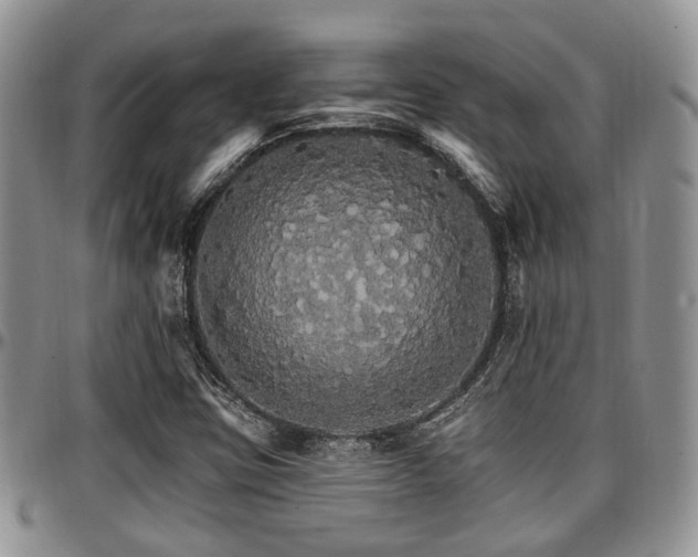 X0000097671403200802291449