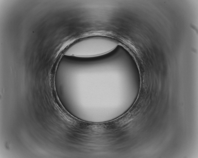 X0000097671404200802291449