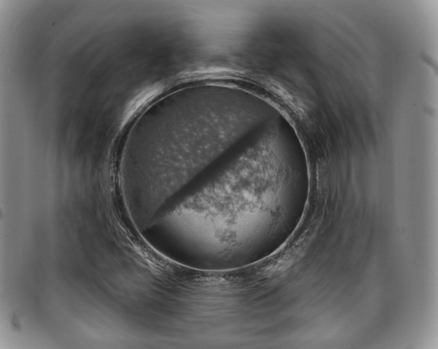 X0000097671405200802291449