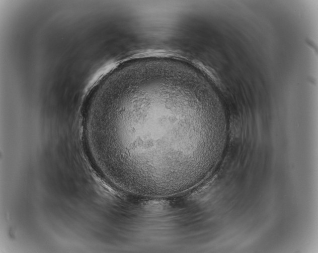X0000097671406200802291449