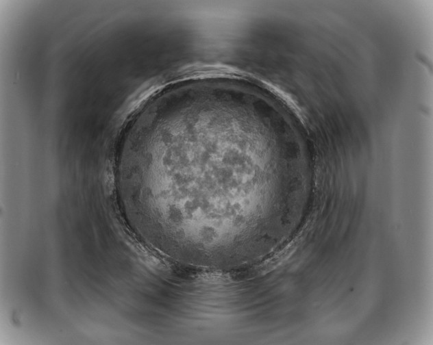 X0000097671407200802291449