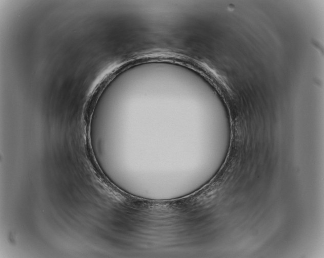 X0000097671408200802291449