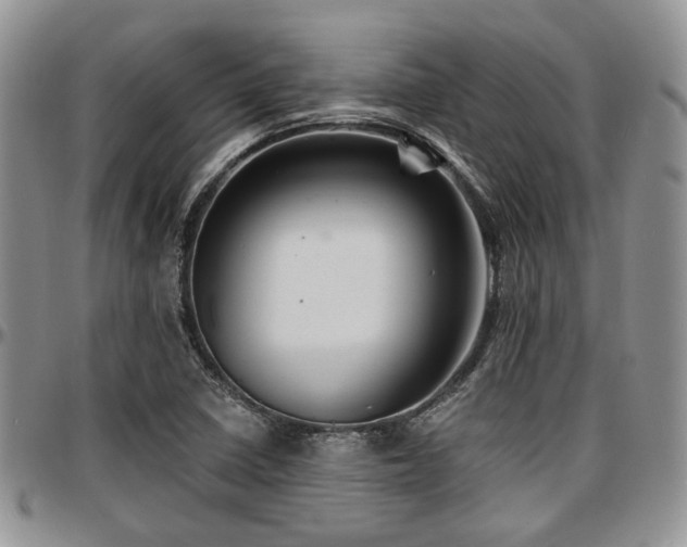 X0000097671410200802291449
