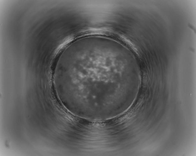 X0000097671411200802291449