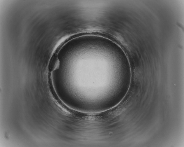 X0000097671412200802291449