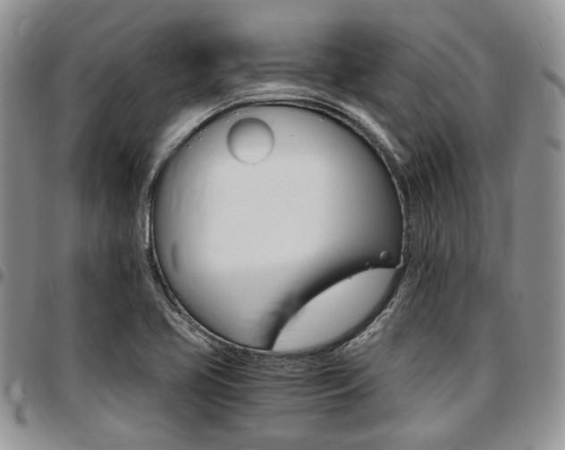 X0000097671413200802291449