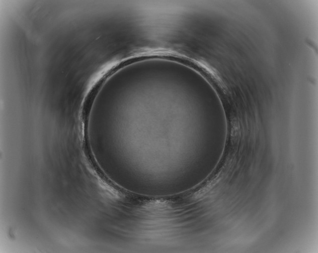 X0000097671414200802291449