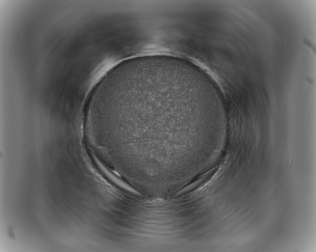X0000097671415200802291449