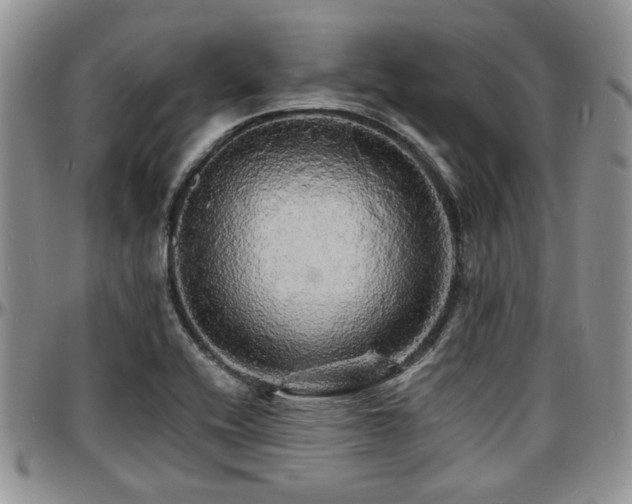X0000097671416200802291449