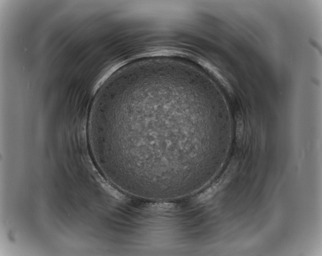 X0000097671417200802291449