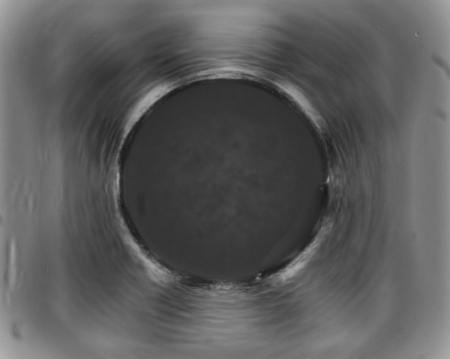 X0000097671418200802291449