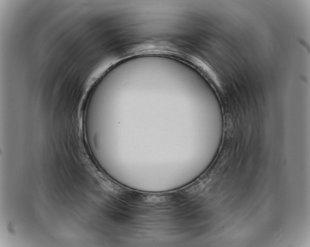 X0000097671419200802291449