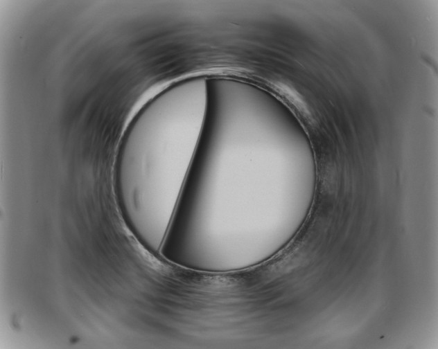 X0000097671420200802291449