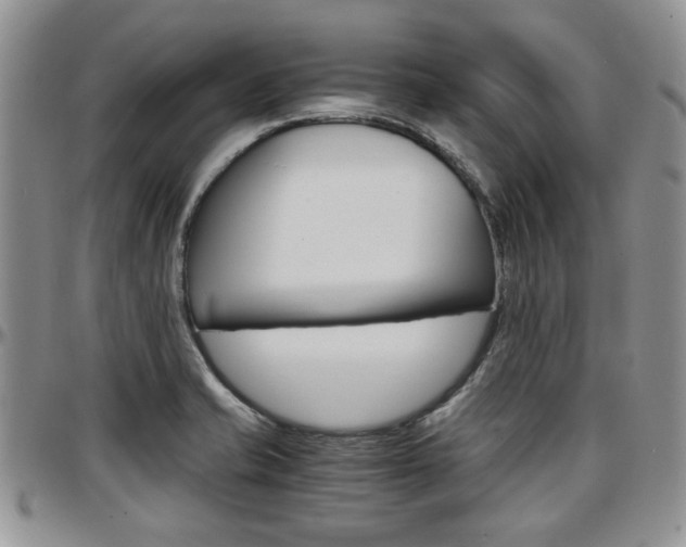 X0000097671421200802291450