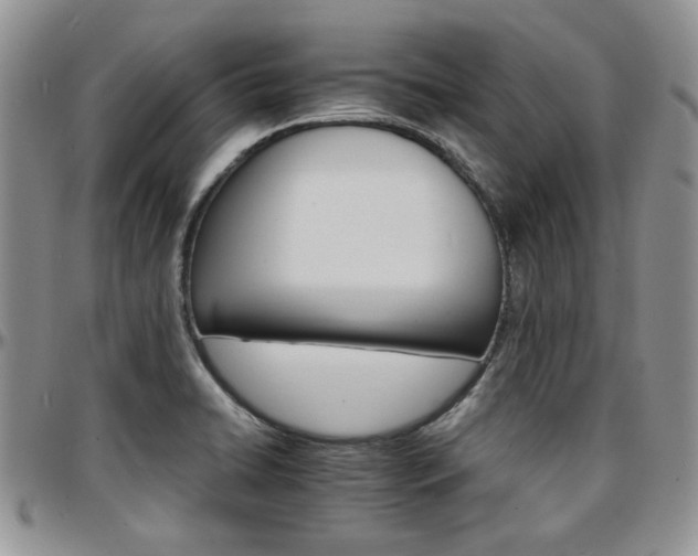 X0000097671422200802291450
