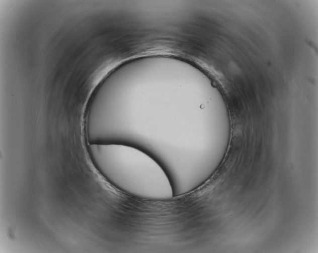 X0000097671423200802291450
