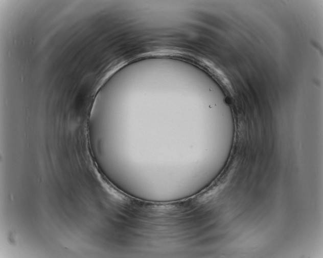 X0000097671425200802291450