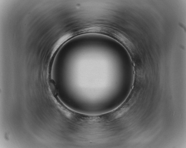 X0000097671426200802291450