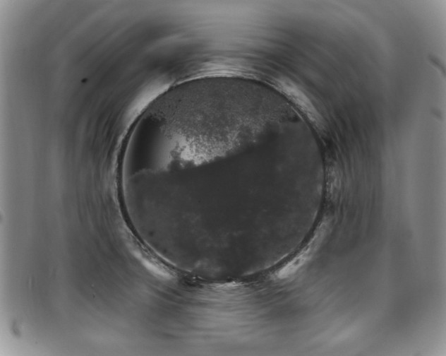 X0000097671427200802291450