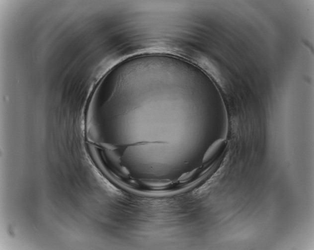X0000097671428200802291450