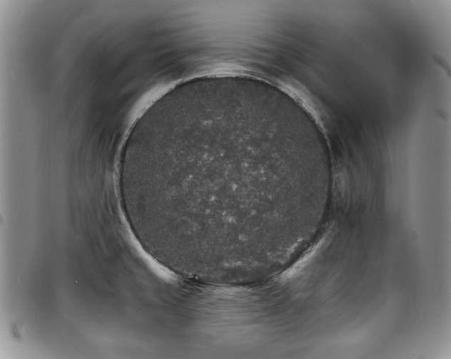 X0000097671429200802291450