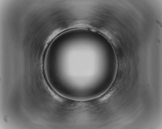 X0000097671430200802291450