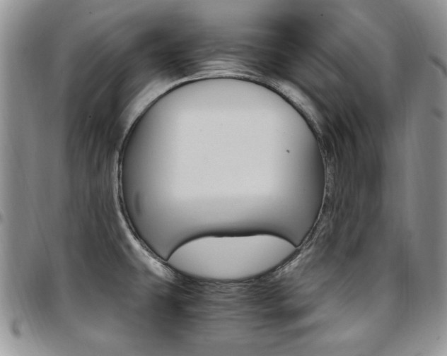 X0000097671431200802291450