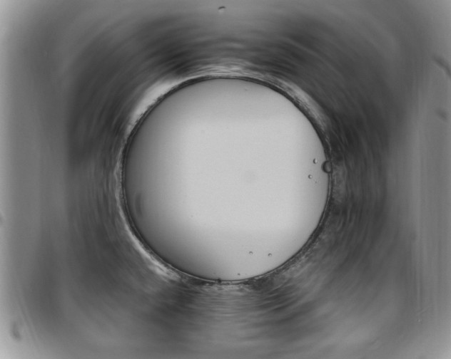 X0000097671432200802291450