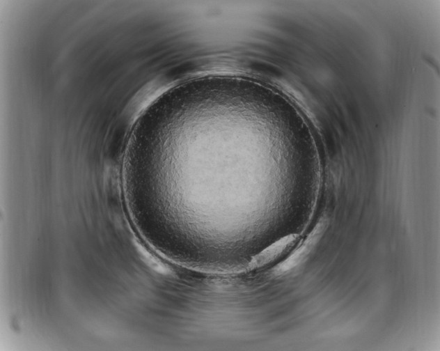 X0000097671433200802291450