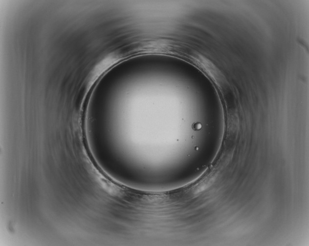 X0000097671434200802291450