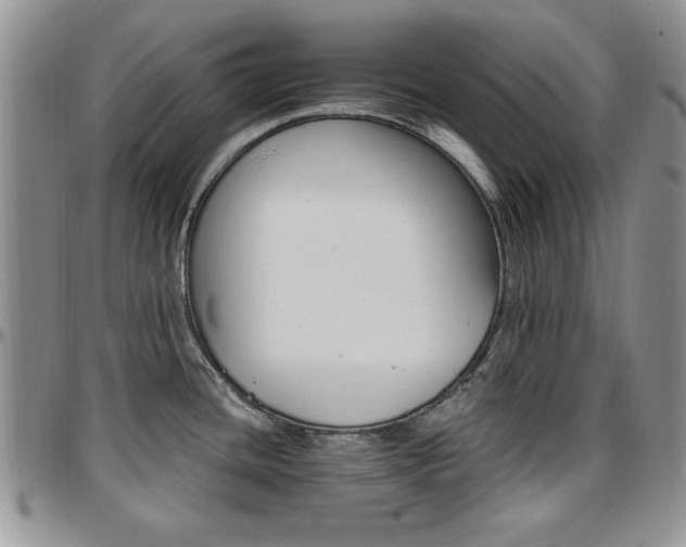 X0000097671436200802291450