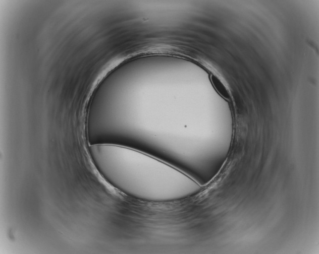X0000097671437200802291450