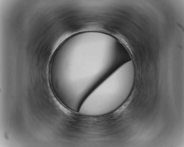 X0000097671438200802291450