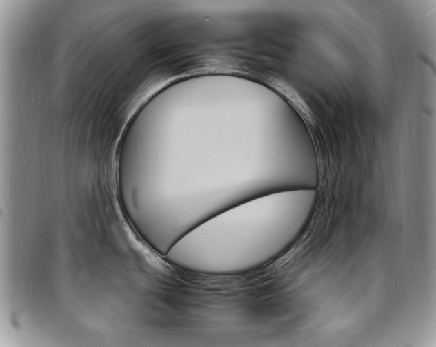 X0000097671439200802291450