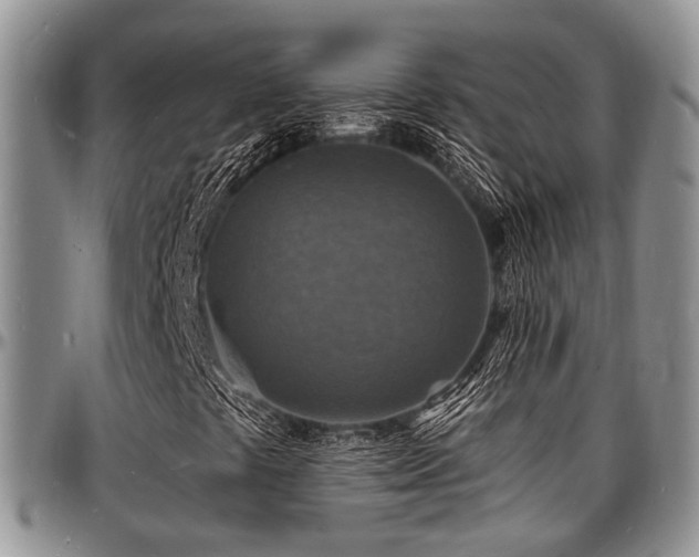 X0000097671441200802291449