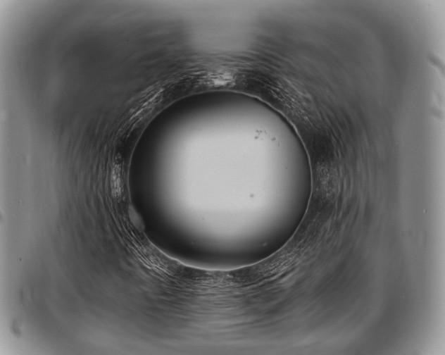 X0000097671442200802291449