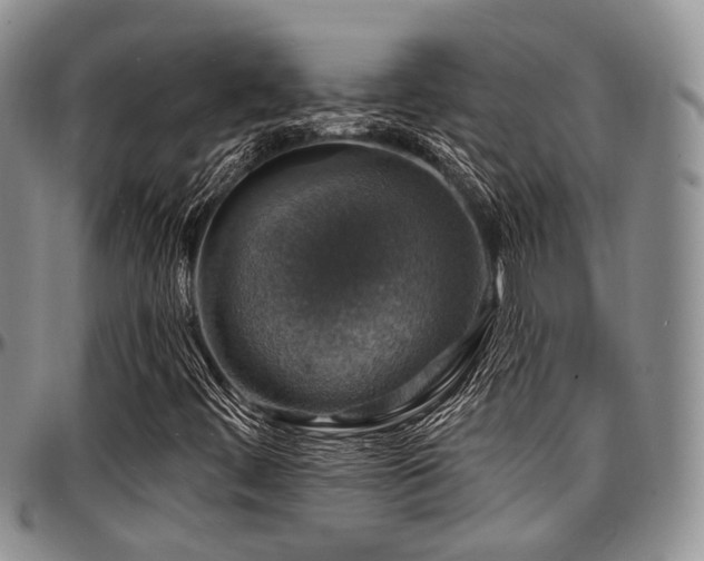 X0000097671444200802291449