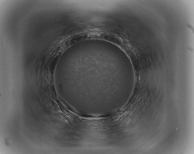 X0000097671445200802291449