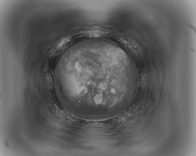 X0000097671446200802291449