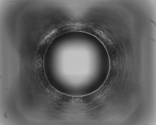 X0000097671447200802291449