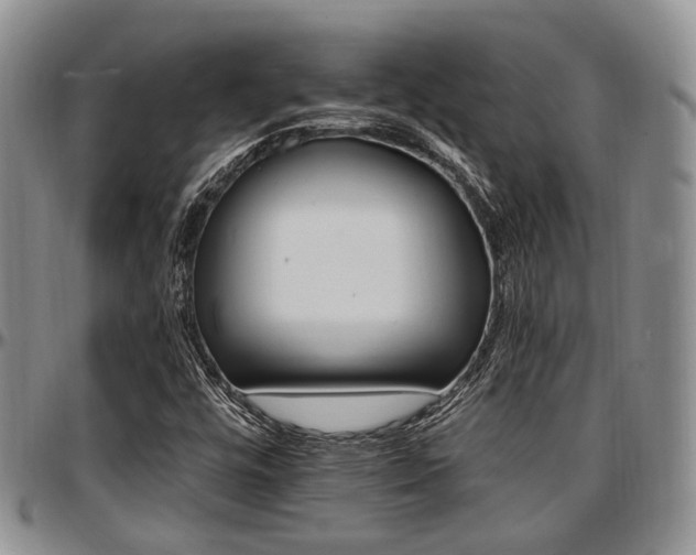 X0000097671448200802291449