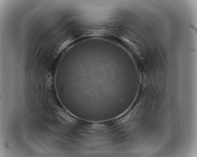 X0000097671449200802291449