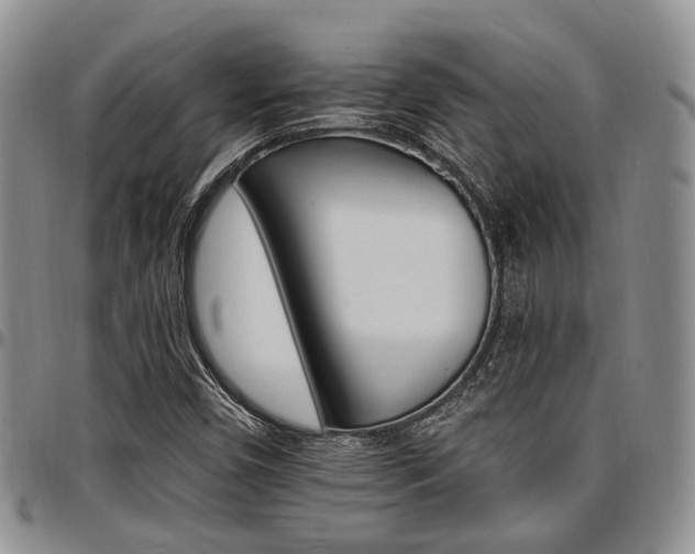 X0000097671450200802291449