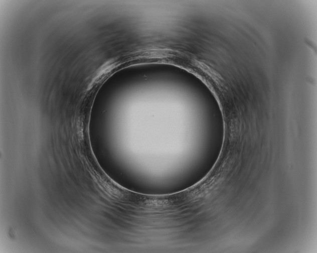 X0000097671451200802291449