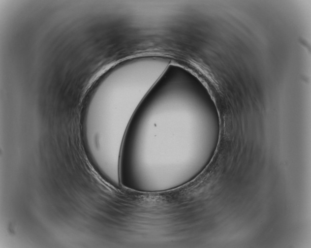 X0000097671452200802291449