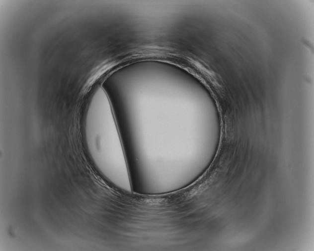 X0000097671453200802291449