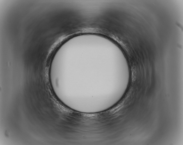 X0000097671454200802291449